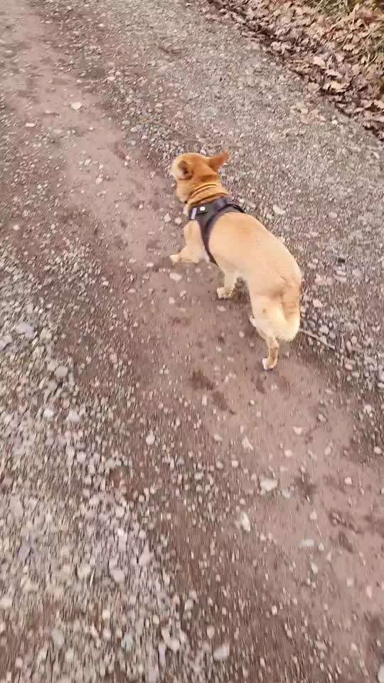 Was hat euch heute gefreut?-Beitrag-Bild