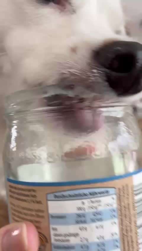 Video Challenge Nr. 4 - Lecker, Lecker-Beitrag-Bild