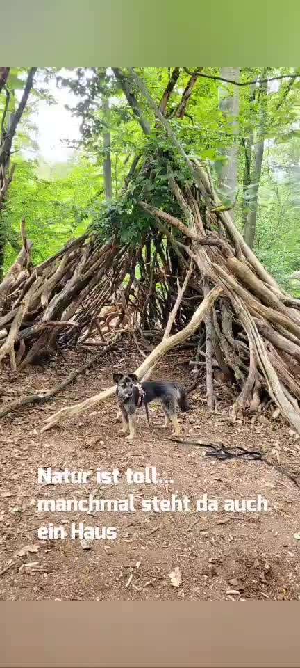 15. Kurzgeschichten-Challenge: Draussen, in der Natur-Beitrag-Bild