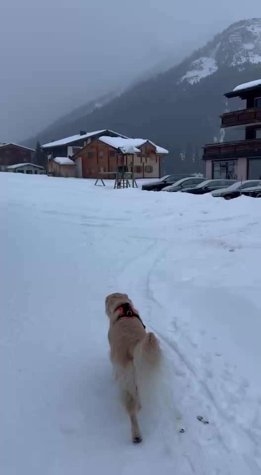 Durchfall - im Ausland, keine Apotheke-Beitrag-Bild