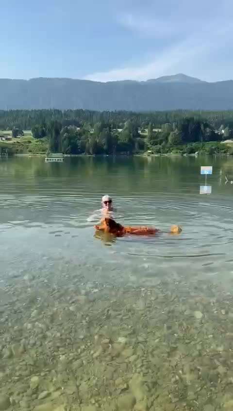 Hund abgegeben, weil Urlaub anstand? Leider kein Witz 😳-Beitrag-Bild