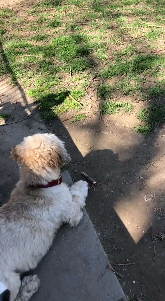 Analyse & Interpretation von Verhalten-Beitrag-Bild