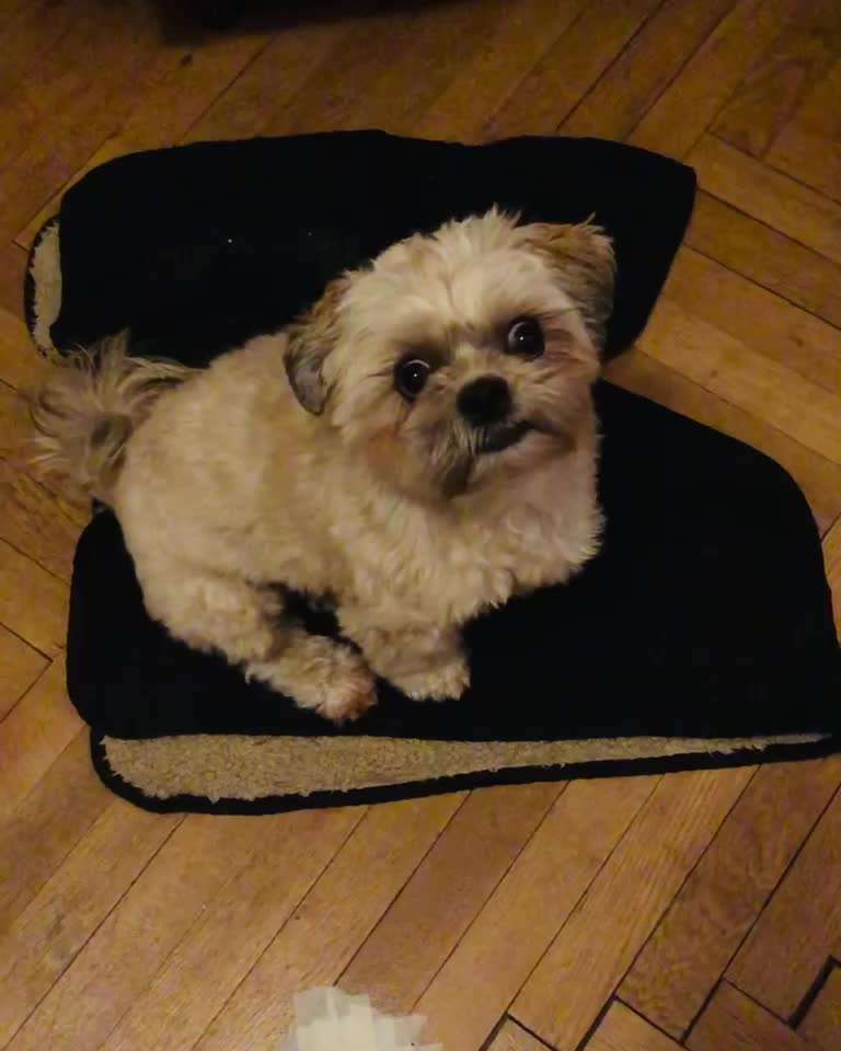 𝕋ℝ𝕀ℂ𝕂 ℂℍ𝔸𝕃𝕃𝔼ℕ𝔾𝔼 ℕℝ. 𝟙-Beitrag-Bild