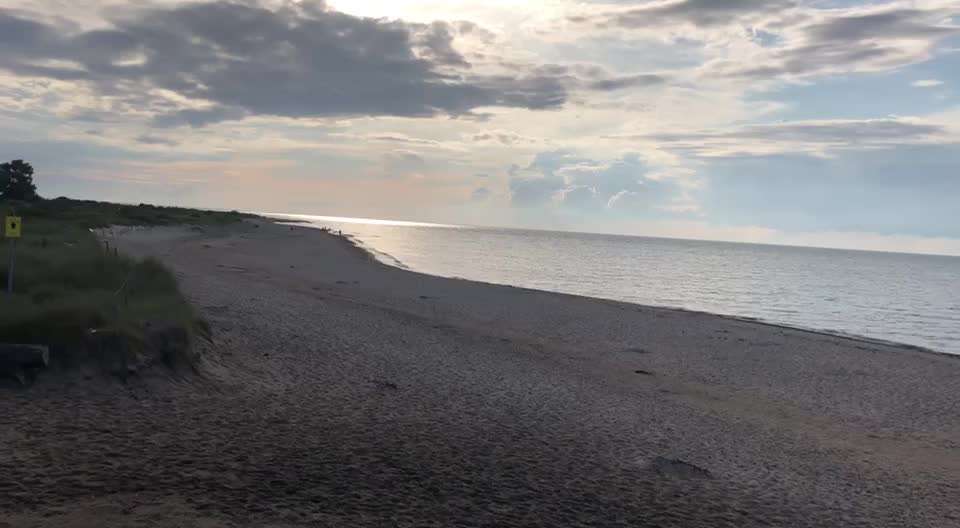 Hundeurlaub In Deutschland-Beitrag-Bild