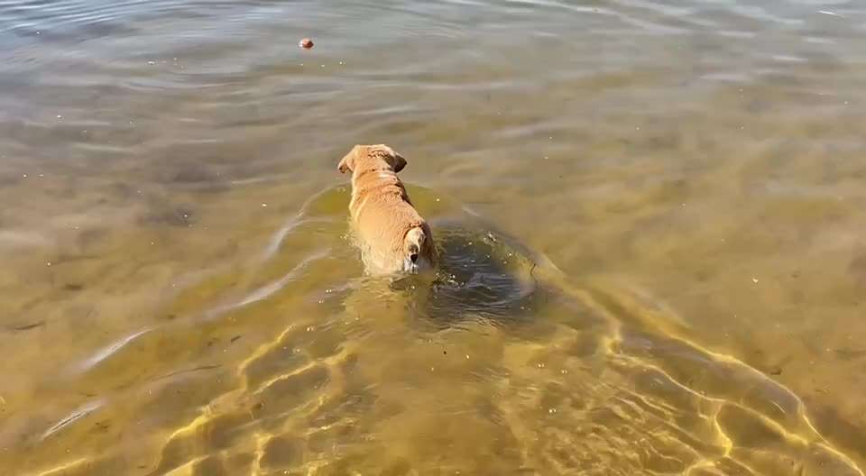 Senioren-Beitrag-Bild