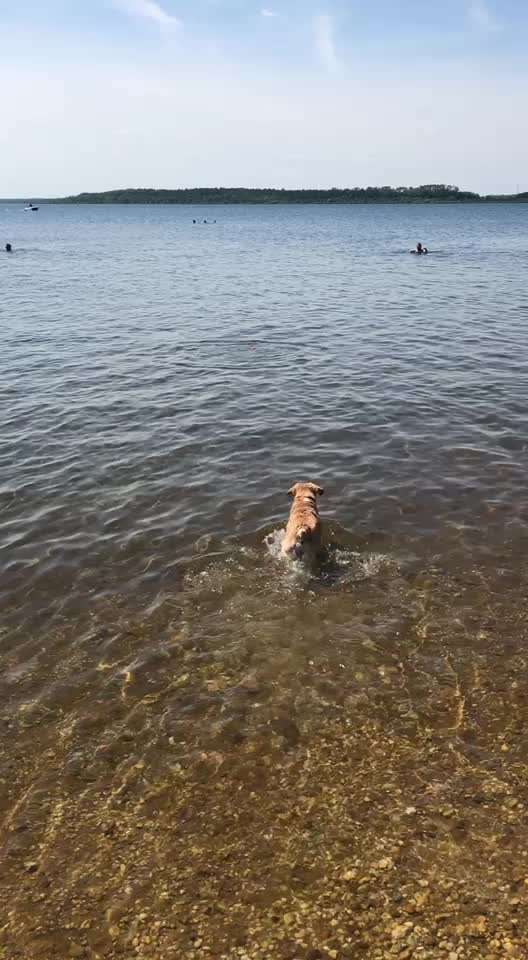 50. Video Challenge - Wasserscheu oder nicht-Beitrag-Bild