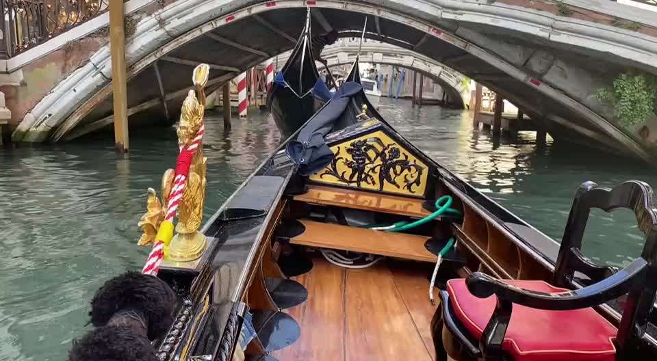 Erstes Mal Camping mit Hund in Bibione-Beitrag-Bild