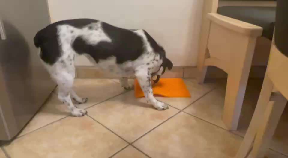 Bänder überdehnt - 5 Monate-Beitrag-Bild