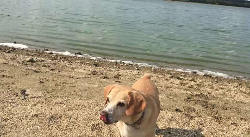 Rute ab?-Beitrag-Bild