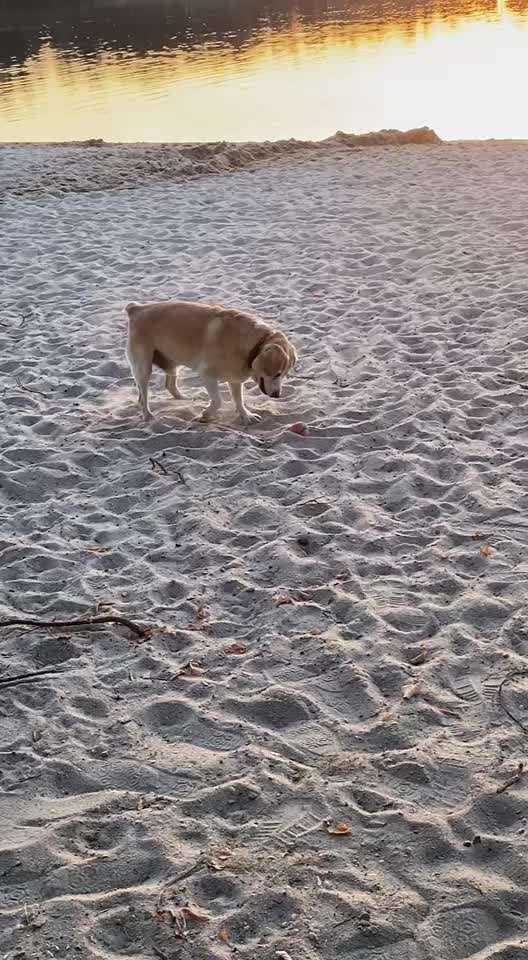 Senioren-Beitrag-Bild