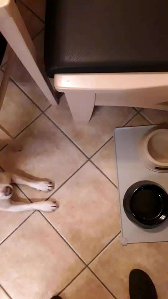 Hochspringen-Beitrag-Bild