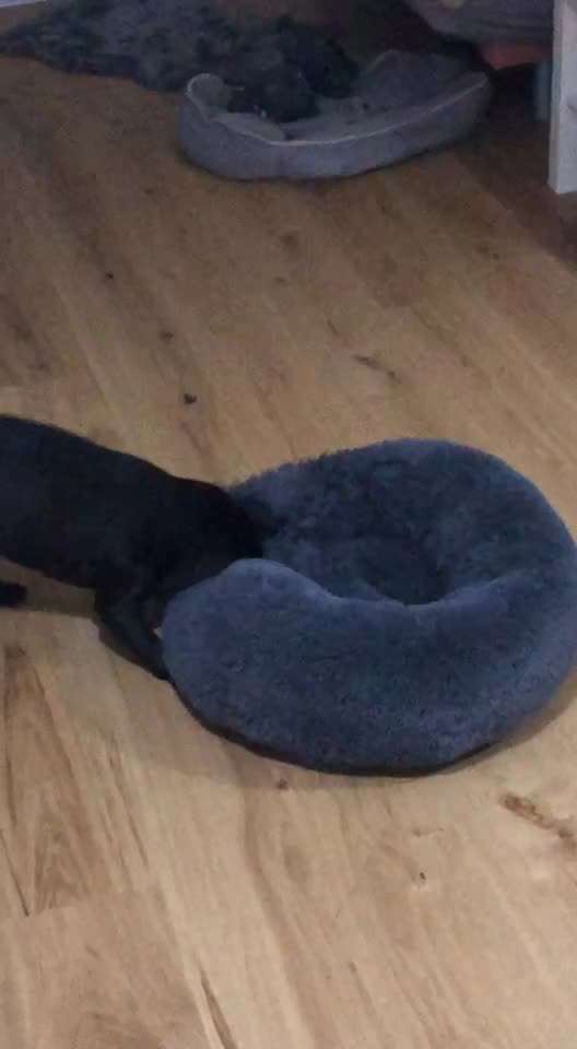 Hier ist der Spaßthread. Zum Schmunzeln und Kaputtlachen-Beitrag-Bild