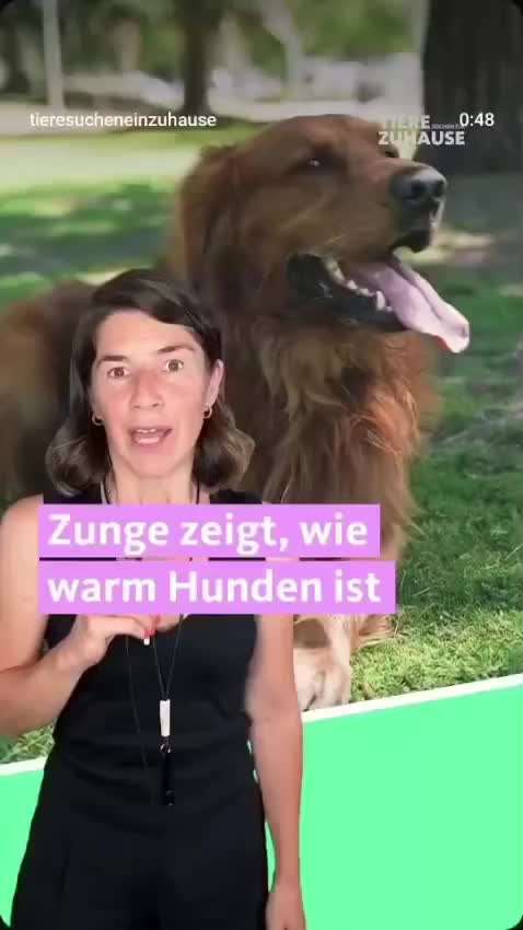 Zunge rollt nach oben(Video)-Beitrag-Bild