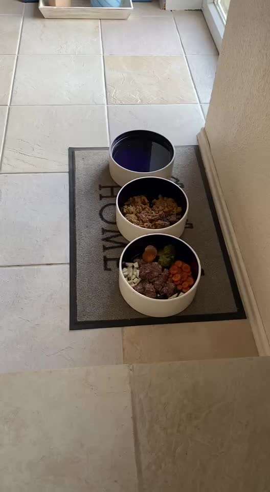 Zeigt her Eure Futternäpfe-Beitrag-Bild