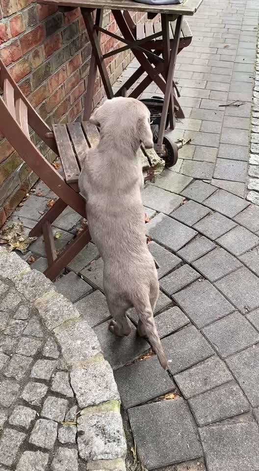 Sie werden so schnell erwachsen ...-Beitrag-Bild