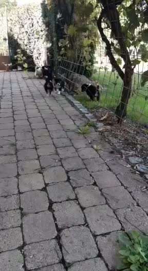 15. Video Challenge.  In SloMo die Welt erkunden!-Beitrag-Bild