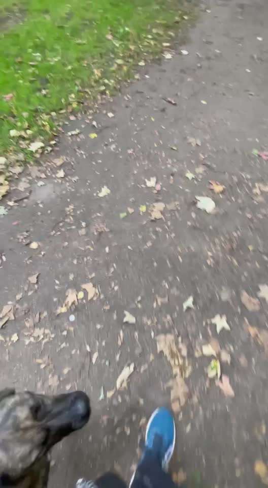 Veteranenzone - Koffer packen für fortgeschrittene-Beitrag-Bild