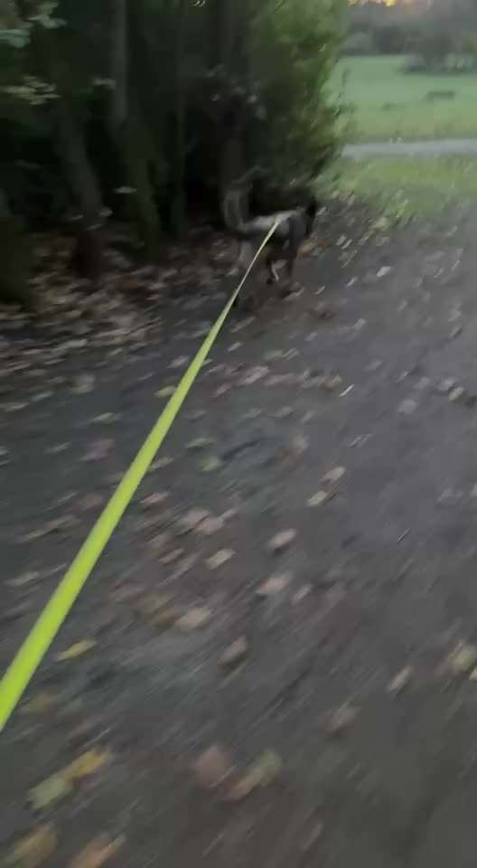 "Wege zur Freundschaft" (Ulli Reichmann)-Beitrag-Bild