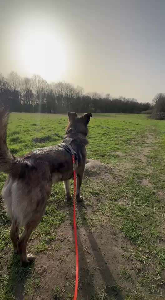 "Wege zur Freundschaft" (Ulli Reichmann)-Beitrag-Bild