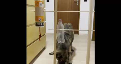 48. Papiertücher ziehen und bringen-Beitrag-Bild