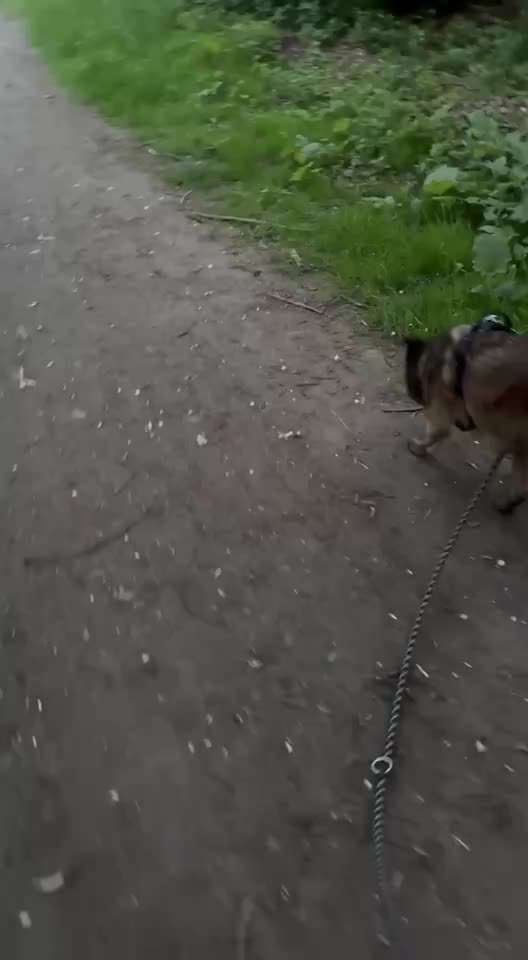 "Wege zur Freundschaft" (Ulli Reichmann)-Beitrag-Bild