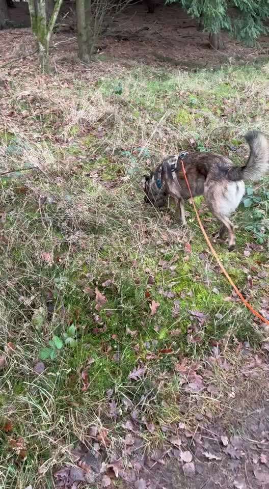 "Wege zur Freundschaft" (Ulli Reichmann)-Beitrag-Bild