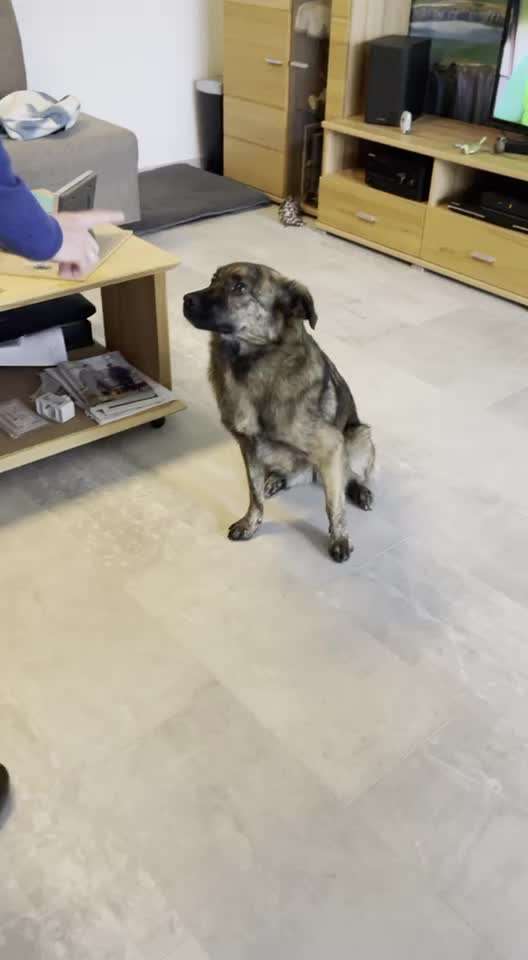 𝕋ℝ𝕀ℂ𝕂 ℂℍ𝔸𝕃𝕃𝔼ℕ𝔾𝔼 ℕℝ. 𝟚-Beitrag-Bild