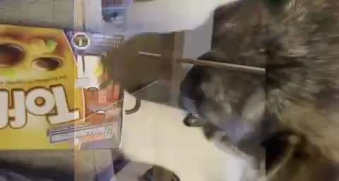 48. Papiertücher ziehen und bringen-Beitrag-Bild