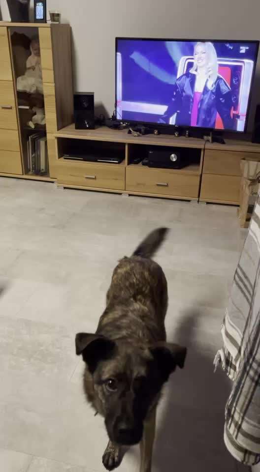 Veteranenzone - Koffer packen für fortgeschrittene-Beitrag-Bild