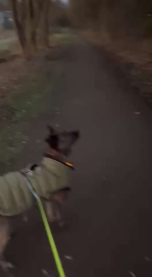 "Wege zur Freundschaft" (Ulli Reichmann)-Beitrag-Bild