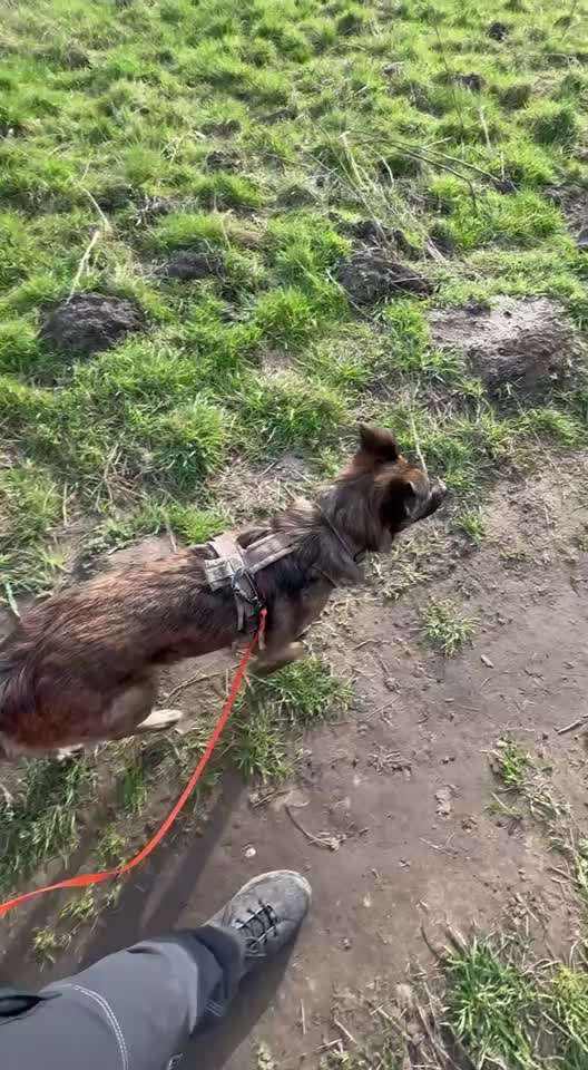 "Wege zur Freundschaft" (Ulli Reichmann)-Beitrag-Bild