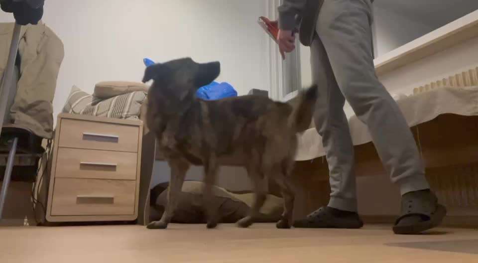 Koffer Packen: Spezial Weihnachtsedition-Beitrag-Bild