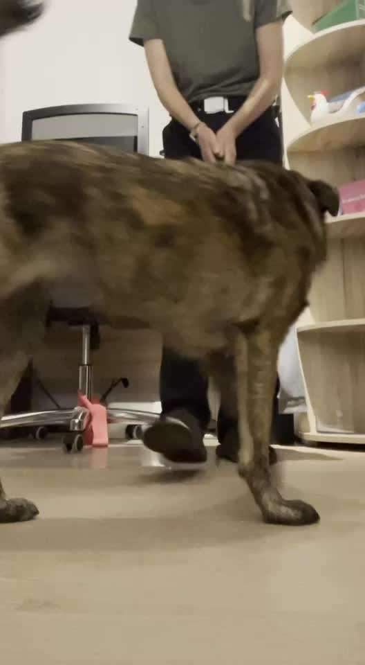 Veteranenzone - Koffer packen für fortgeschrittene-Beitrag-Bild