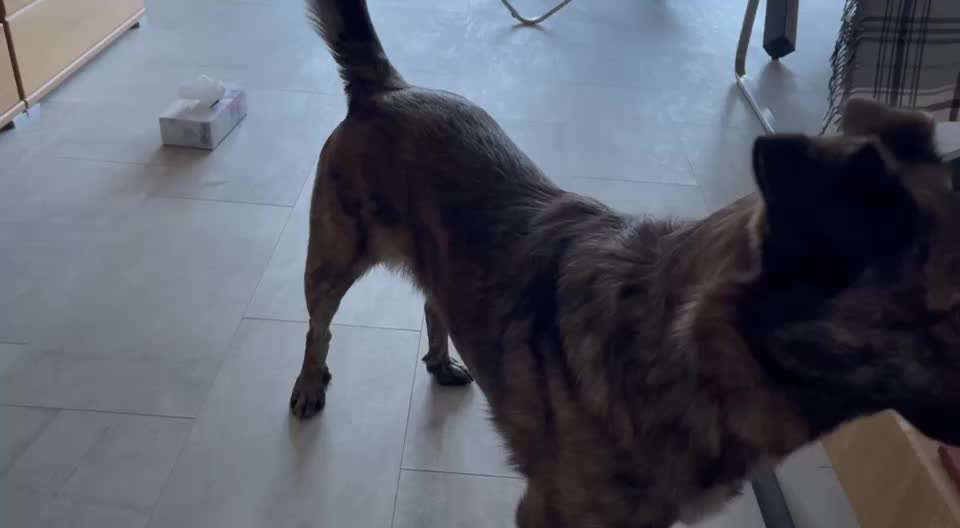 48. Papiertücher ziehen und bringen-Beitrag-Bild