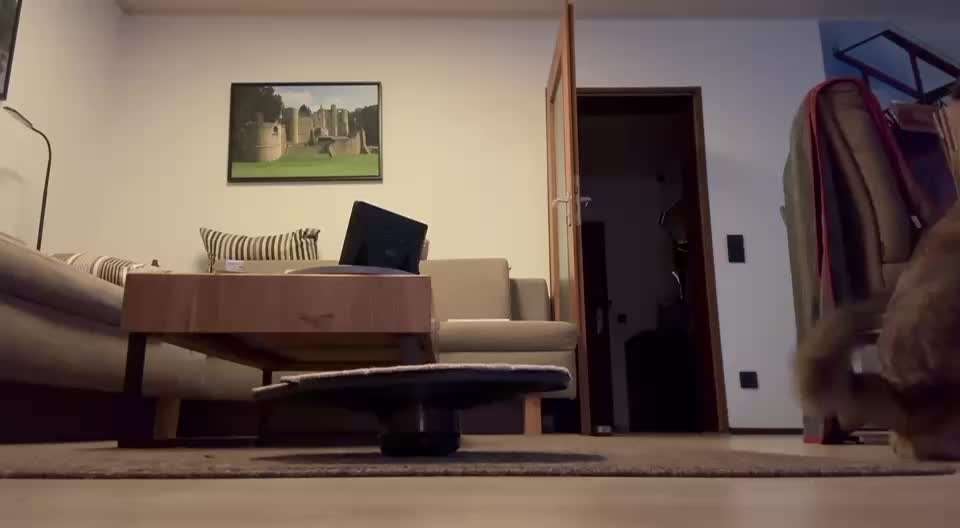 65. Gemeinsames Tricktraining: Rückwärts auf Gegenstand-Beitrag-Bild