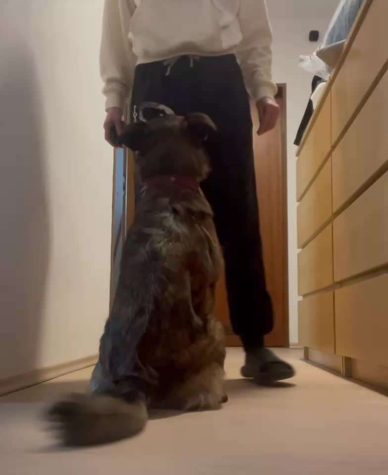 47. Rückwärts Einparken-Beitrag-Bild