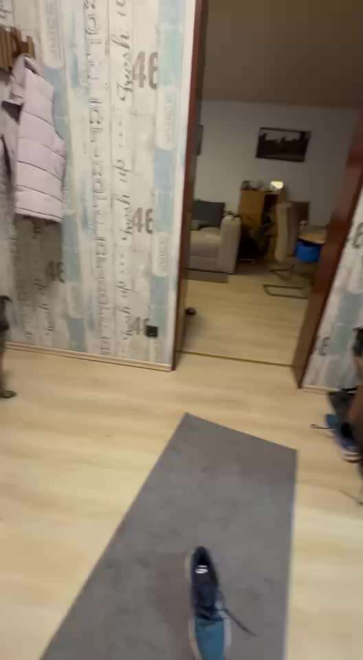 Trickchallenge Nr. 85   ,,Schau rein,,-Beitrag-Bild