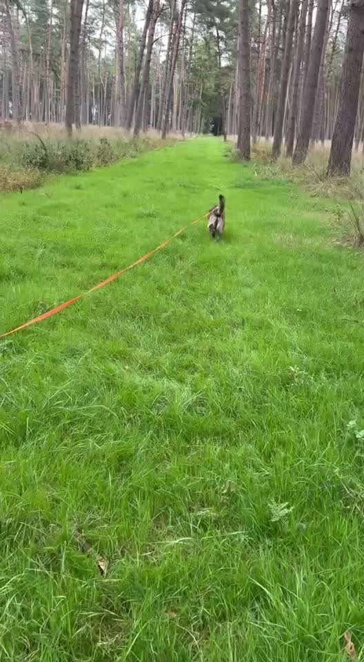 "Wege zur Freundschaft" (Ulli Reichmann)-Beitrag-Bild