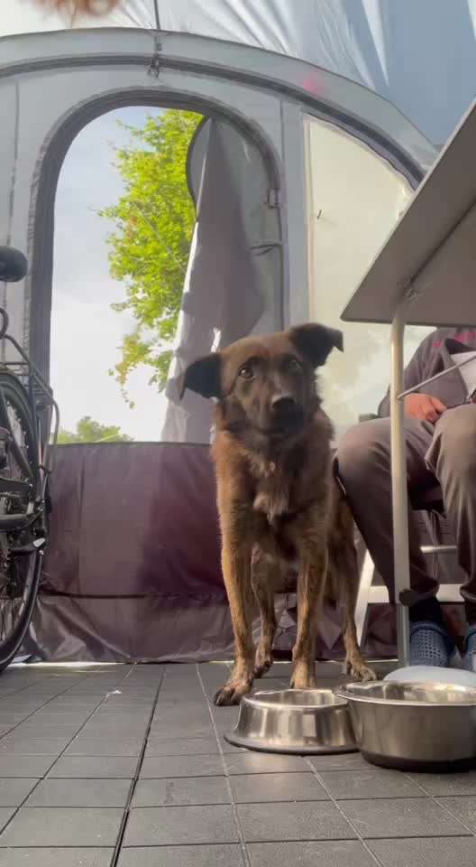 Trick Spiel - Koffer packen - der 20.-Beitrag-Bild