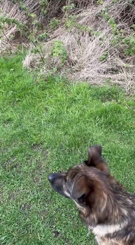 "Wege zur Freundschaft" (Ulli Reichmann)-Beitrag-Bild