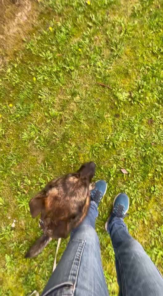 Trickchallenge - ich packe meinen 4. Koffer-Beitrag-Bild