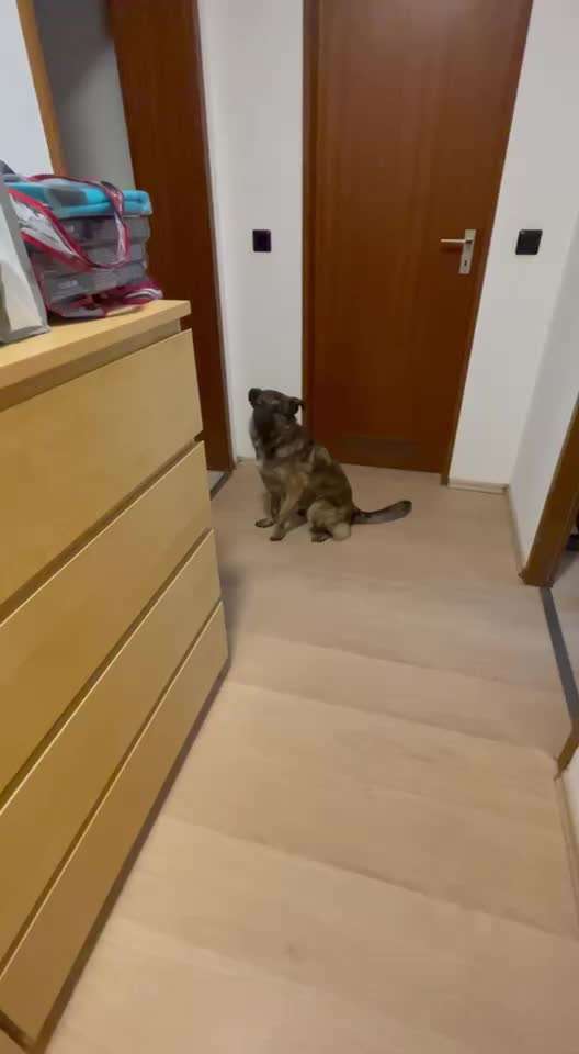 Trick Spiel - ich packe meinen 10. Koffer-Beitrag-Bild