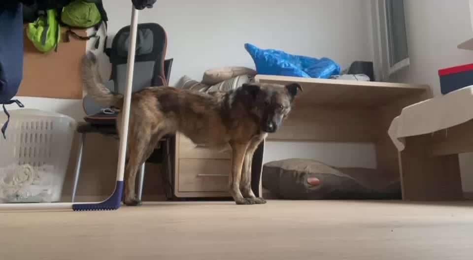 Koffer Packen: Spezial Weihnachtsedition-Beitrag-Bild