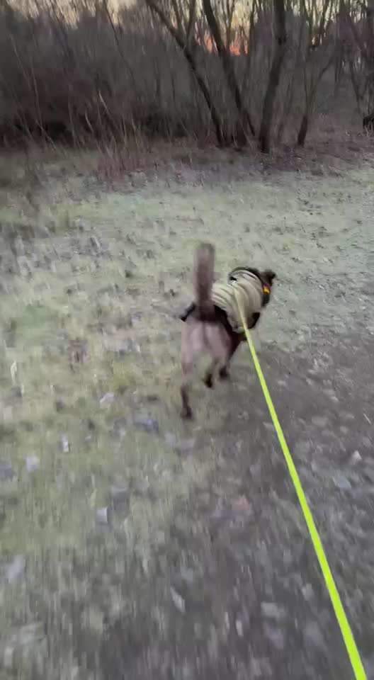 "Wege zur Freundschaft" (Ulli Reichmann)-Beitrag-Bild