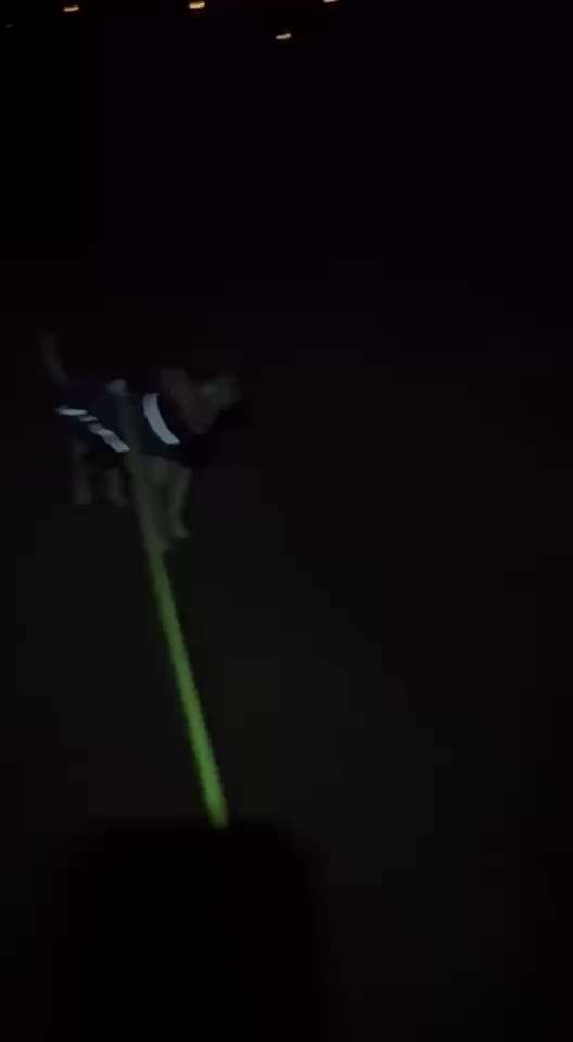 "Wege zur Freundschaft" (Ulli Reichmann)-Beitrag-Bild