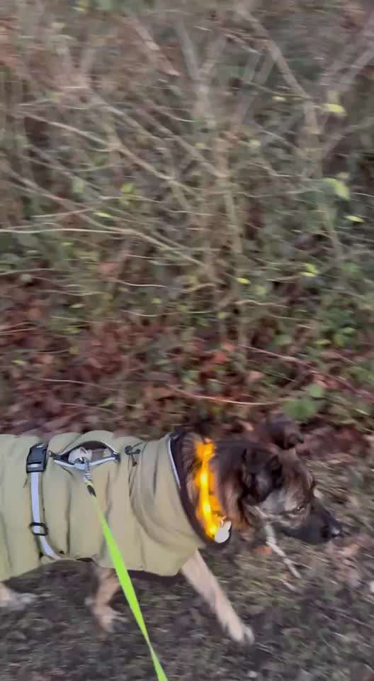 "Wege zur Freundschaft" (Ulli Reichmann)-Beitrag-Bild