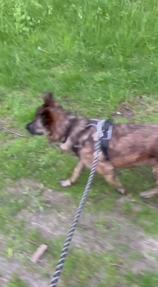 "Wege zur Freundschaft" (Ulli Reichmann)-Beitrag-Bild