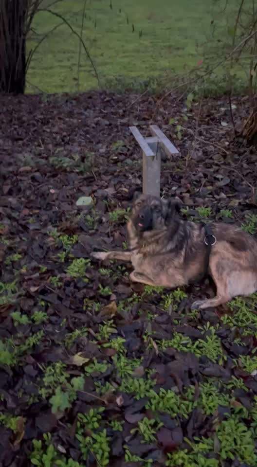 Gemeinsame Impulkontrolle Übung Nr.24-Beitrag-Bild