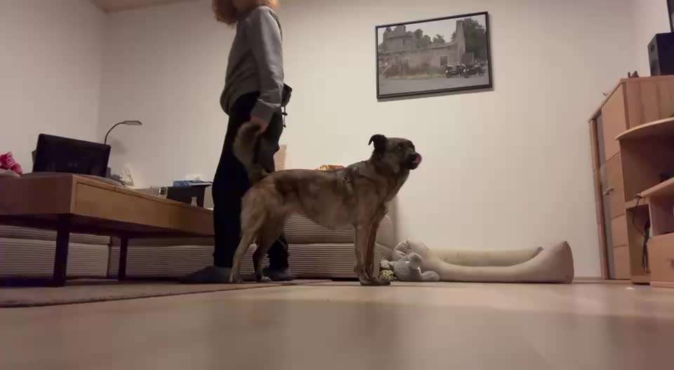 69. Tricktraining: Rücken an Rücken-Beitrag-Bild