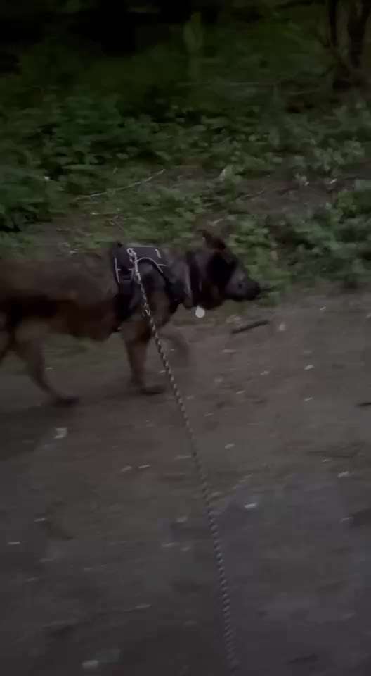 "Wege zur Freundschaft" (Ulli Reichmann)-Beitrag-Bild